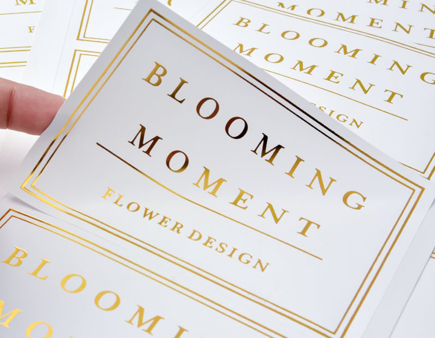 迈博app官网登录